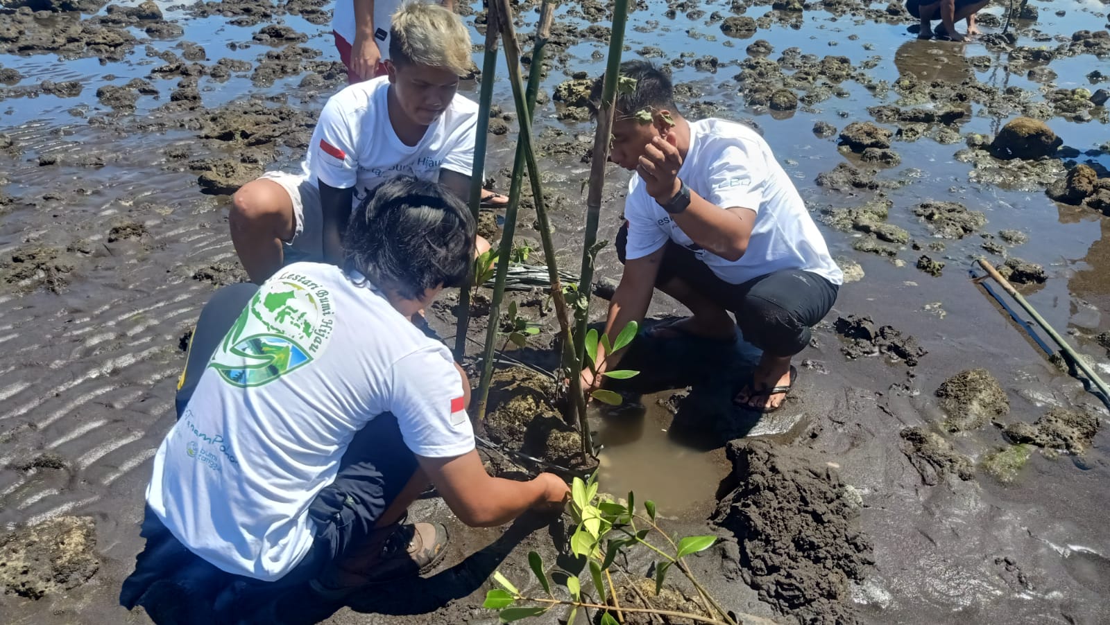 Komunitas Anak Muda Lestari Bumi Hijau Gelar Aksi Tanam Mangrove di Tawaang Minsel