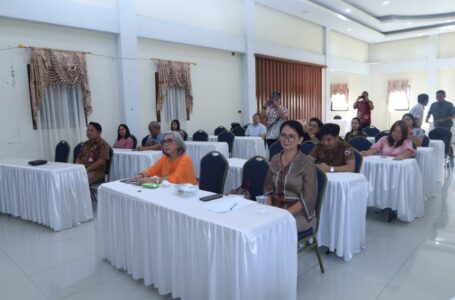 Pelaku Usaha di Tomohon Diberi Pemahaman Promosikan Produk dalam Negeri