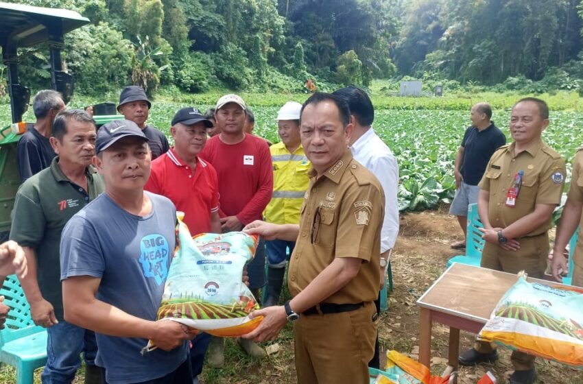  Bantuan Pupuk Gratis Disalurkan Caroll JA Senduk, Petani : Kami Bersyukur atas Kepedulian Pemerintah