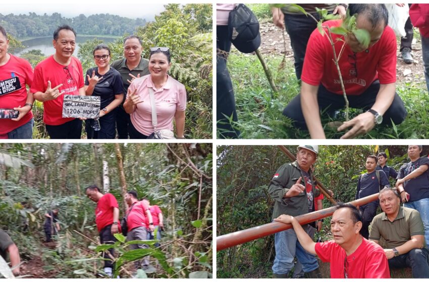  Aksi Penanaman Pohon Caroll Senduk dan Relawan merupakan Wujud Kepedulian untuk Anak Cucu