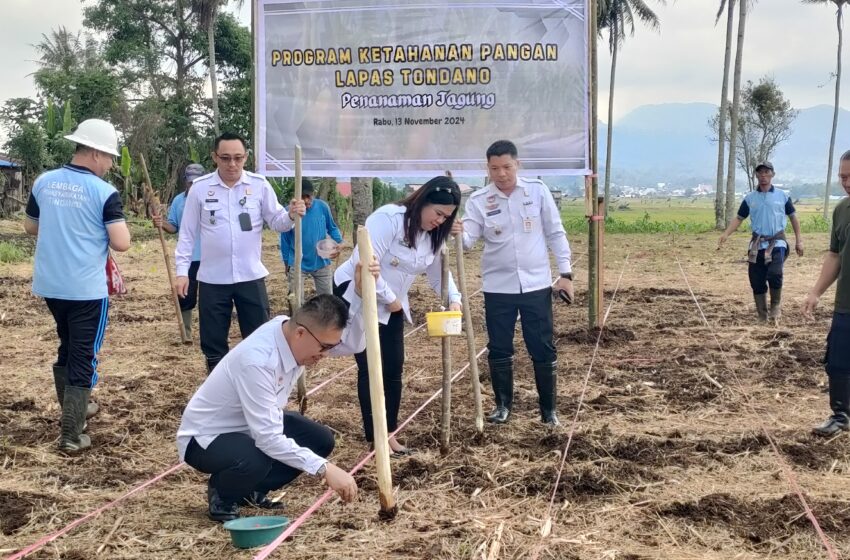  Program Ketahanan Pangan di Lapas Tondano: Penanaman Jagung dan Pengembangan UMKM